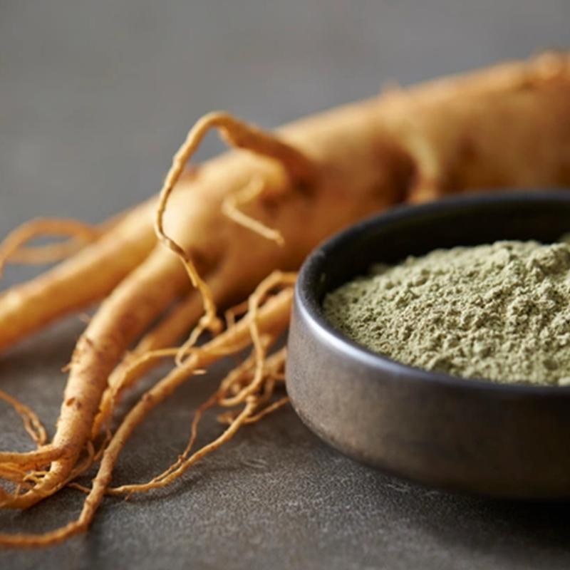 Panax Ginseng Root